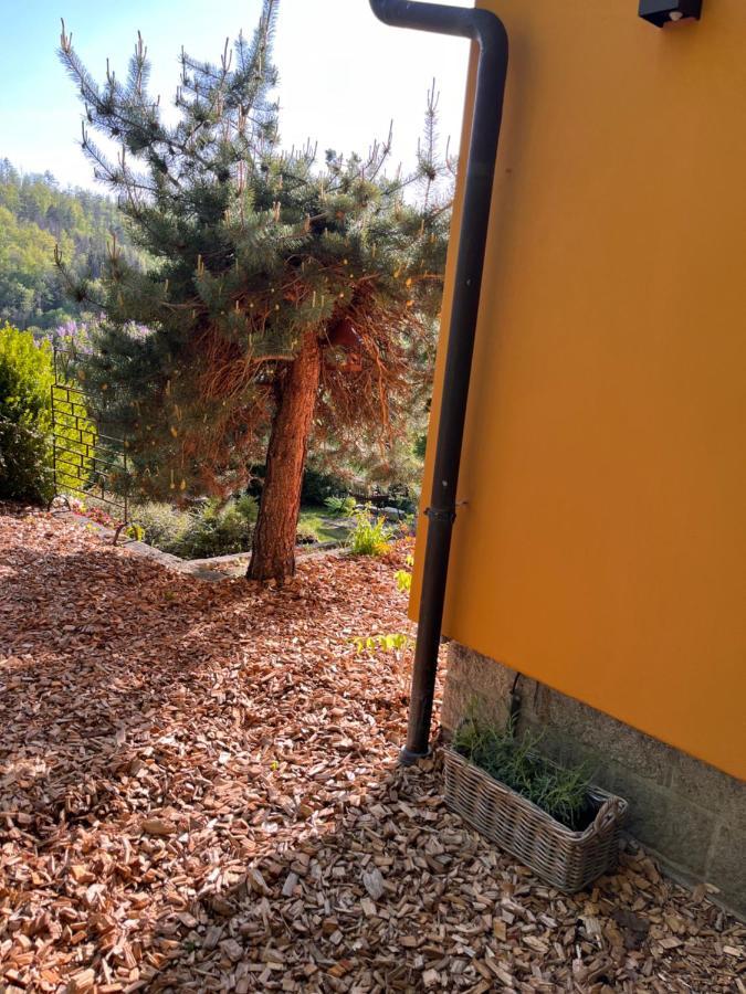 Kleines Harz-Chalet Neuwerk  Екстер'єр фото